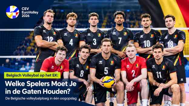 De Belgische volleybalploeg in één oogopslag
