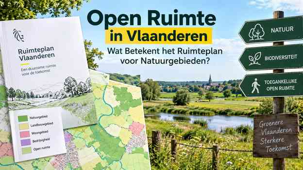 Open Ruimte in Vlaanderen: Wat Betekent het Ruimteplan voor Natuurgebieden? (open ruimte Vlaanderen)